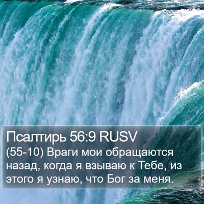 Псалтирь 56:9 RUSV Bible Verse Image
