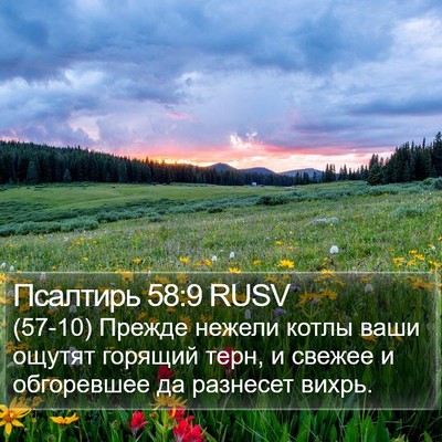 Псалтирь 58:9 RUSV Bible Verse Image