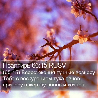 Псалтирь 66:15 RUSV Bible Verse Image