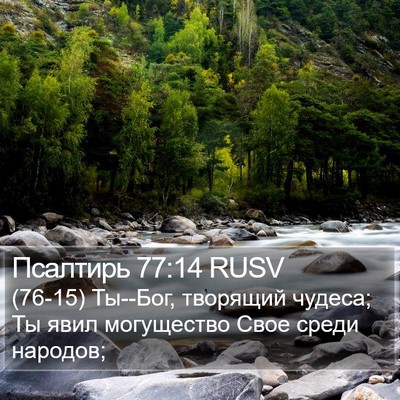 Псалтирь 77:14 RUSV Bible Verse Image