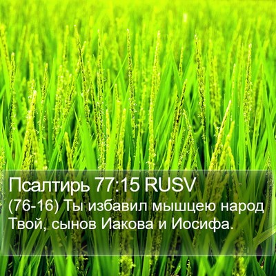 Псалтирь 77:15 RUSV Bible Verse Image