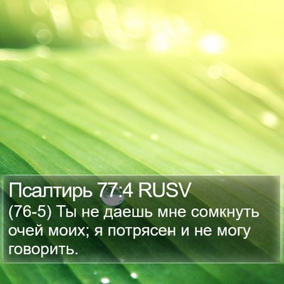 Псалтирь 77:4 RUSV Bible Verse Image