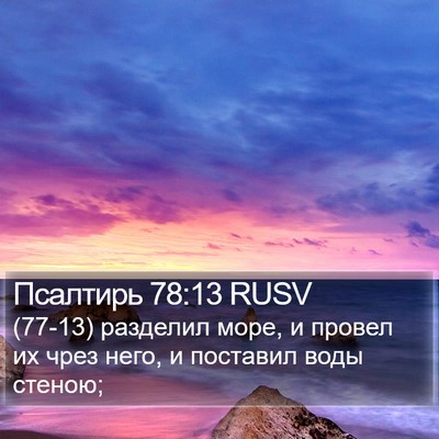 Псалтирь 78:13 RUSV Bible Verse Image