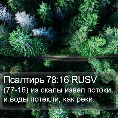 Псалтирь 78:16 RUSV Bible Verse Image