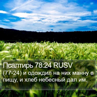 Псалтирь 78:24 RUSV Bible Verse Image