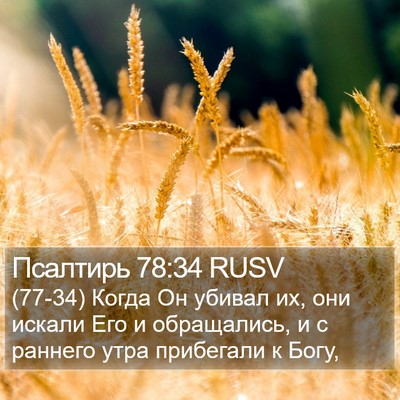 Псалтирь 78:34 RUSV Bible Verse Image