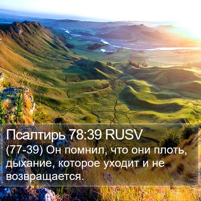 Псалтирь 78:39 RUSV Bible Verse Image