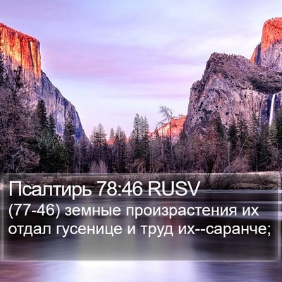 Псалтирь 78:46 RUSV Bible Verse Image