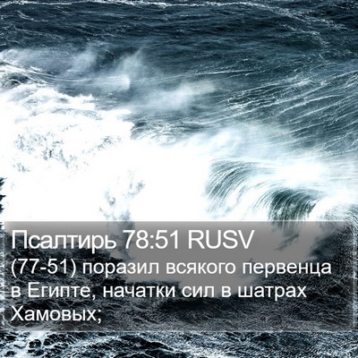 Псалтирь 78:51 RUSV Bible Verse Image