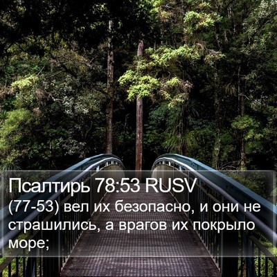 Псалтирь 78:53 RUSV Bible Verse Image