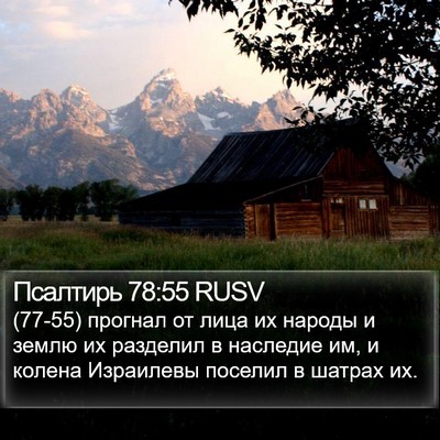 Псалтирь 78:55 RUSV Bible Verse Image