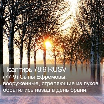 Псалтирь 78:9 RUSV Bible Verse Image