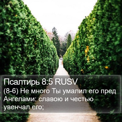 Псалтирь 8:5 RUSV Bible Verse Image
