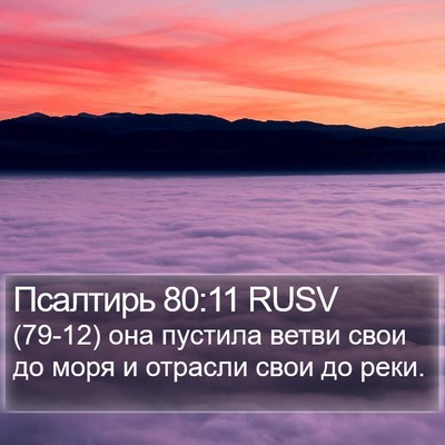 Псалтирь 80:11 RUSV Bible Verse Image