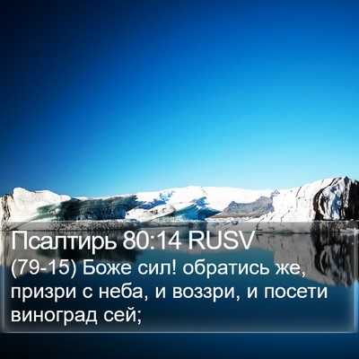 Псалтирь 80:14 RUSV Bible Verse Image