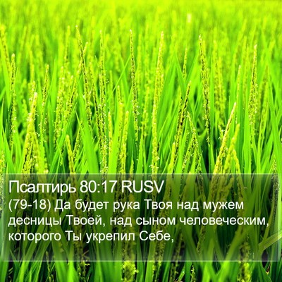 Псалтирь 80:17 RUSV Bible Verse Image