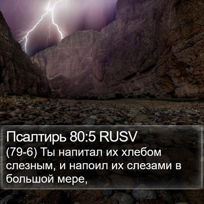 Псалтирь 80:5 RUSV Bible Verse Image