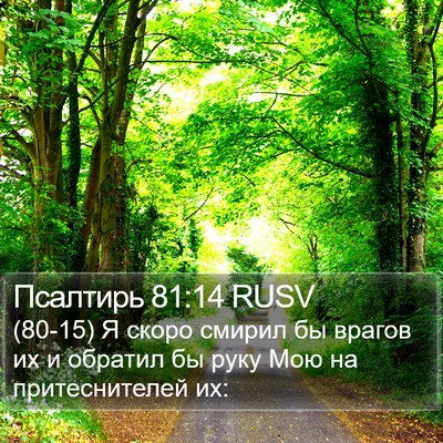 Псалтирь 81:14 RUSV Bible Verse Image