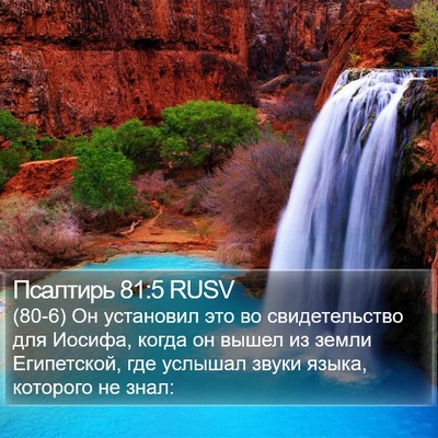Псалтирь 81:5 RUSV Bible Verse Image