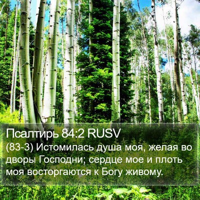 Псалтирь 84:2 RUSV Bible Verse Image