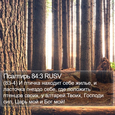 Псалтирь 84:3 RUSV Bible Verse Image