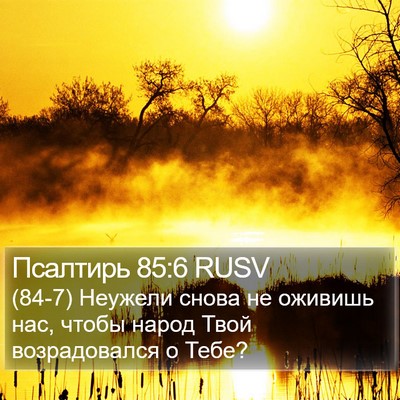 Псалтирь 85:6 RUSV Bible Verse Image