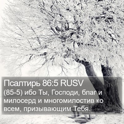Псалтирь 86:5 RUSV Bible Verse Image