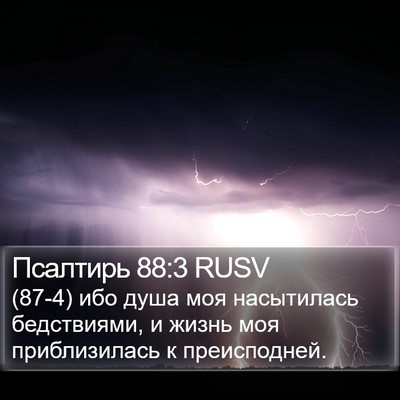 Псалтирь 88:3 RUSV Bible Verse Image