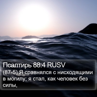 Псалтирь 88:4 RUSV Bible Verse Image