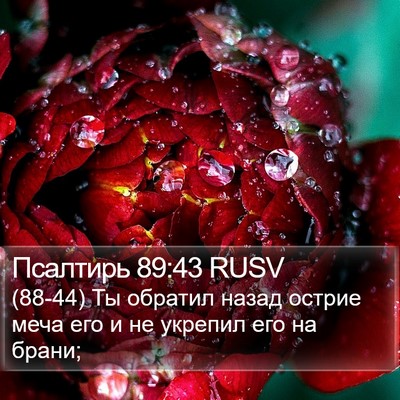 Псалтирь 89:43 RUSV Bible Verse Image