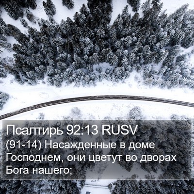 Псалтирь 92:13 RUSV Bible Verse Image