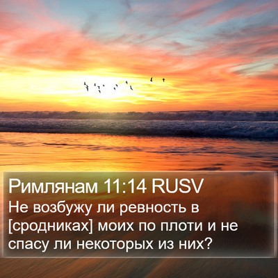 Римлянам 11:14 RUSV Bible Verse Image
