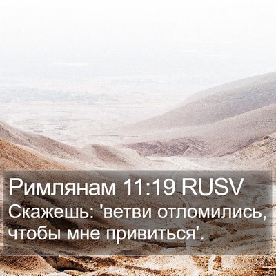 Римлянам 11:19 RUSV Bible Verse Image