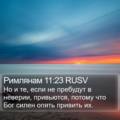 Римлянам 11:23 RUSV Bible Verse Image