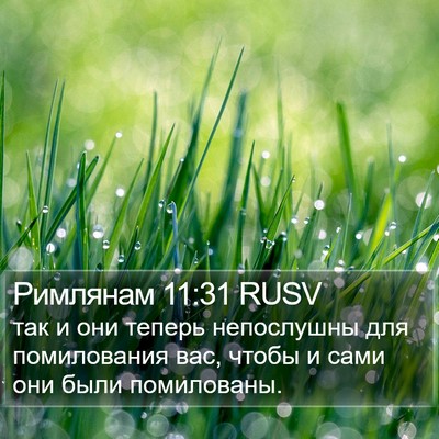 Римлянам 11:31 RUSV Bible Verse Image