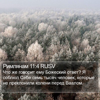 Римлянам 11:4 RUSV Bible Verse Image