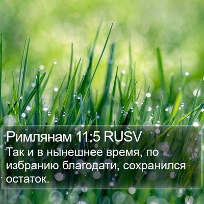 Римлянам 11:5 RUSV Bible Verse Image