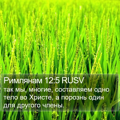 Римлянам 12:5 RUSV Bible Verse Image