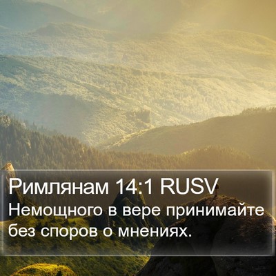 Римлянам 14:1 RUSV Bible Verse Image