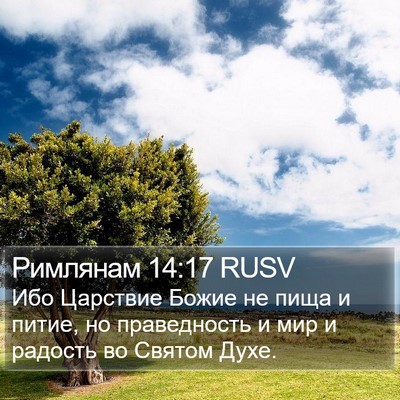 Римлянам 14:17 RUSV Bible Verse Image