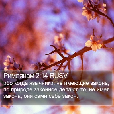 Римлянам 2:14 RUSV Bible Verse Image