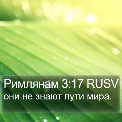 Римлянам 3:17 RUSV Bible Verse Image