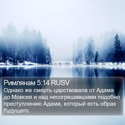 Римлянам 5:14 RUSV Bible Verse Image