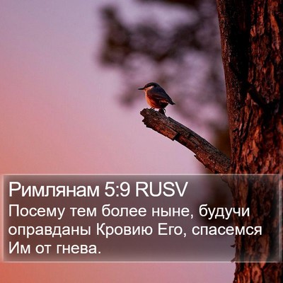 Римлянам 5:9 RUSV Bible Verse Image