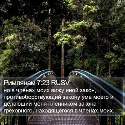Римлянам 7:23 RUSV Bible Verse Image