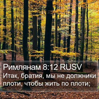 Римлянам 8:12 RUSV Bible Verse Image