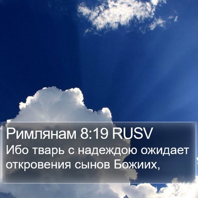Римлянам 8:19 RUSV Bible Verse Image