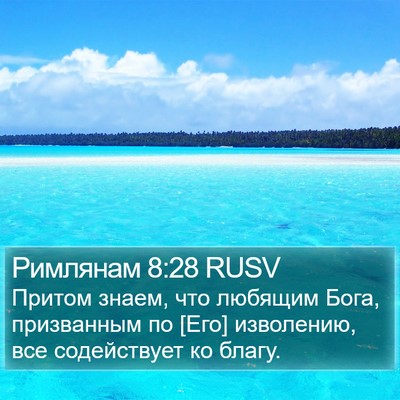 Римлянам 8:28 RUSV Bible Verse Image