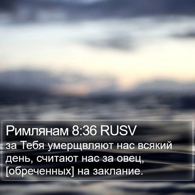 Римлянам 8:36 RUSV Bible Verse Image