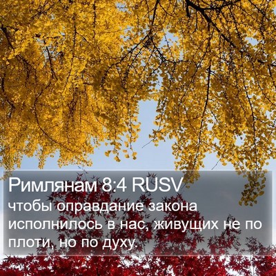 Римлянам 8:4 RUSV Bible Verse Image